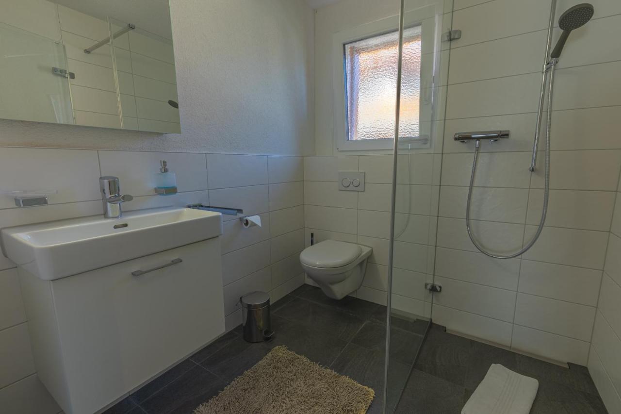 Harder Apartment - Aare Jungfrau Ag Wilderswil Ngoại thất bức ảnh